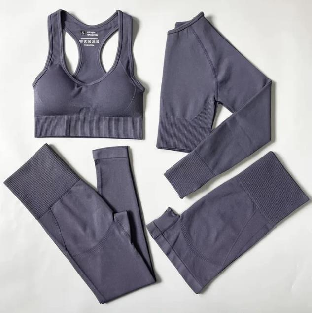 Conjunto Fitness Feminino - FlexiChic 4 em 1