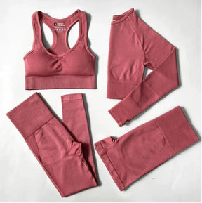 Conjunto Fitness Feminino - FlexiChic 4 em 1